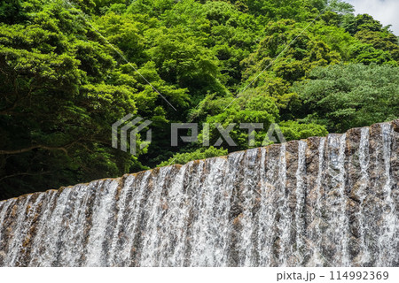 新緑と砂防ダム【鈴鹿国定公園・宮妻峡】 新緑と砂防ダム【鈴鹿国定公園・宮妻峡】 114992369