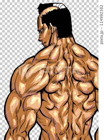 肌肉發達的男性背部的插圖 114992382