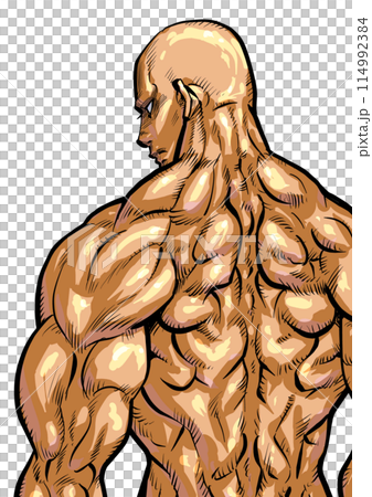 肌肉發達的男性背部的插圖 114992384