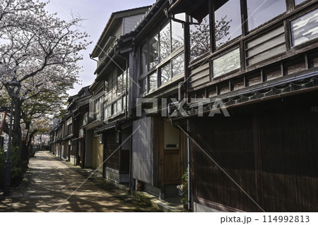 桜が美しい主計町茶屋街 114992813