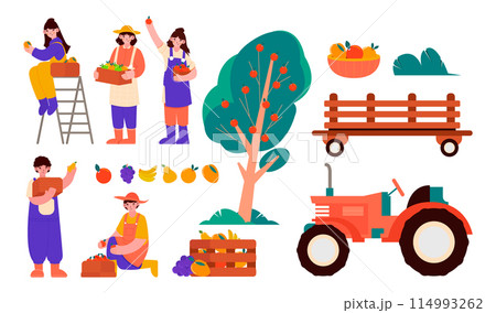 Hand drawn flat fruit harvest set 114993262