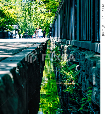 角館武家屋敷通りの側溝・秋田県仙北市角館町 角館武家屋敷通りの側溝・秋田県仙北市角館町 114993548