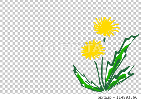 筆タッチのシンプルなたんぽぽのイラスト 114993566