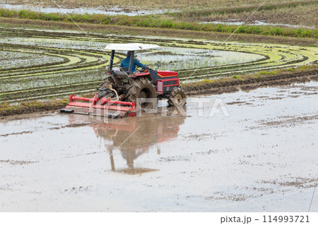 田植えの準備で耕すトラクター 114993721