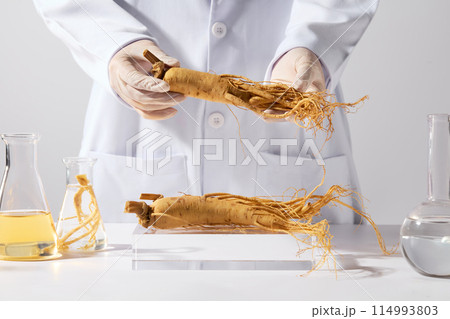 Template for design with front view, a ginseng root is raised in the middle of the frame by researcher, below is a glass podium contains some ginseng roots and plenty lab equipments on white tabletop 114993803