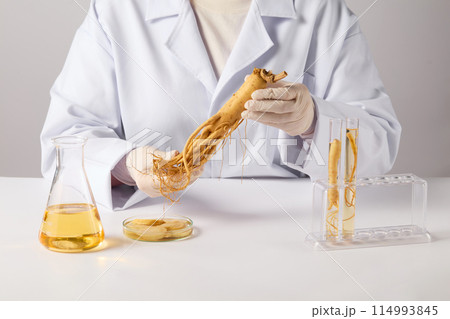 The scene a researcher holding a fresh ginseng by hand over white background, a white counter containing a rack with test tube, a petri dish of ginseng slices and an erlenmeyer with yellow essence The scene a researcher holding a fresh ginseng by hand over white background, a white counter containing a rack with test tube, a petri dish of ginseng slices and an erlenmeyer with yellow essence 114993845