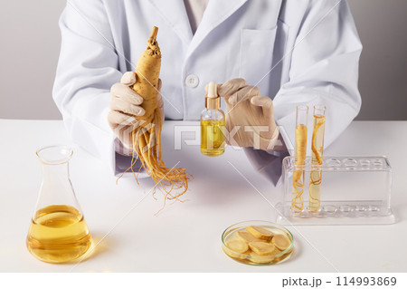 Ginseng cosmetic advertising mock up, the researcher holding a unlabeled serum bottle of yellow liquid and a fresh ginseng root in space, other lab tools and ginseng displayed on white countertop  114993869