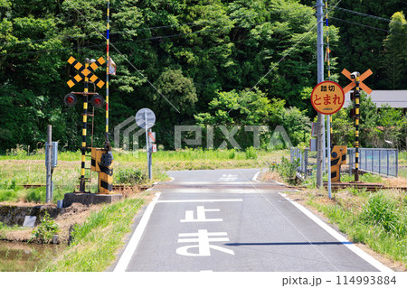 田舎の踏切風景　第一種踏切 114993884