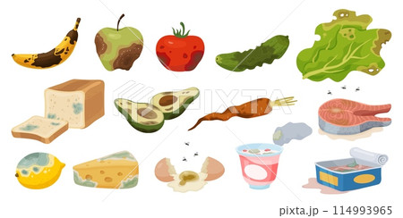 Expired products. Organic waste. Rotting damaged food. Spoiled vegetables or fruits. Biodegradable recycle garbage. Cheese and bread with mildew. Compost elements. Recent vector set 114993965