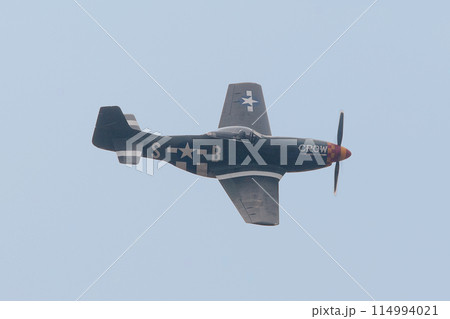 アメリカ軍P-51Dムスタング戦闘機 アメリカ軍P-51Dムスタング戦闘機 114994021