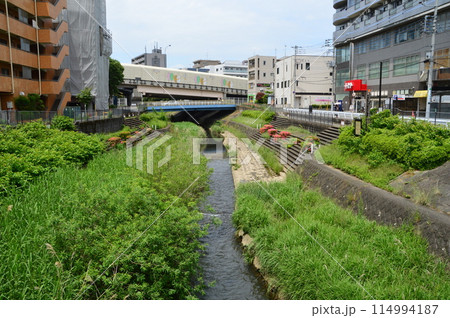 春の湯殿川　八王子市　 114994187