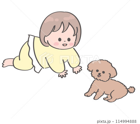 はいはいでトイプードルに近づく赤ちゃんのイラスト はいはいでトイプードルに近づく赤ちゃんのイラスト 114994888