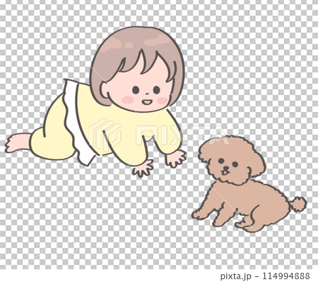 はいはいでトイプードルに近づく赤ちゃんのイラスト はいはいでトイプードルに近づく赤ちゃんのイラスト 114994888