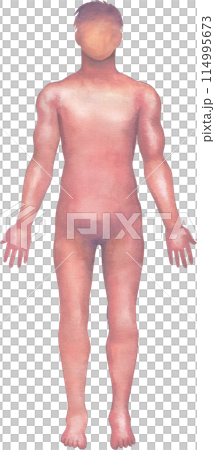 Shaded watercolor silhouette of a male human body Shaded watercolor silhouette of a male human body 114995673