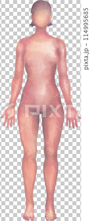 Shaded watercolor silhouette of a female human body 114995685