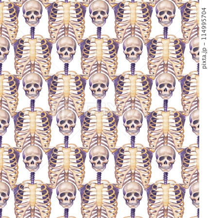 Repeating seamless pattern of watercolor human skeletons Repeating seamless pattern of watercolor human skeletons 114995704