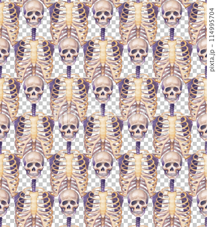 Repeating seamless pattern of watercolor human skeletons Repeating seamless pattern of watercolor human skeletons 114995704