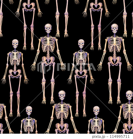 Repeating seamless pattern of watercolor human skeletons 114995711