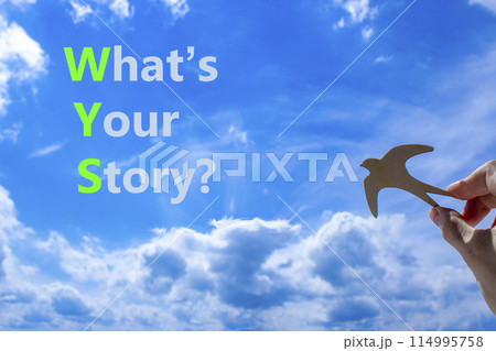 Storytelling and what is your story symbol. Concept words What is your story on beautiful blue sky clouds background. Wooden bird. Business storytelling what is your story concept. Copy space. 114995758