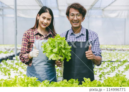 happy farmer cultivated fresh green food plant in hydro farm, modern clean eco agriculture business industry concept happy farmer cultivated fresh green food plant in hydro farm, modern clean eco agriculture business industry concept 114996771