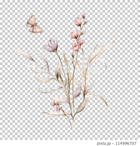 Watercolor botanical autumn illustration branches and light pink flowers. Autumn floral illustration and butterfly. Fall vibes. Hand painted drawing isolated on background. herds pastel color Watercolor botanical autumn illustration branches and light pink flowers. Autumn floral illustration and butterfly. Fall vibes. Hand painted drawing isolated on background. herds pastel color 114996787