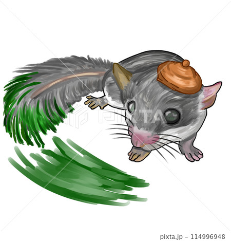 アフリカヤマネ 114996948