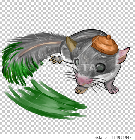 アフリカヤマネ 114996948