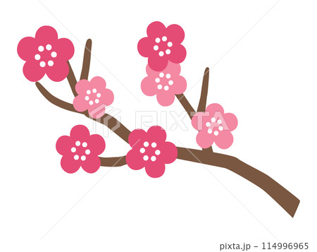 かわいい梅の花のベクターイラスト 114996965