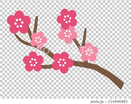 可愛的梅花矢量圖 114996965