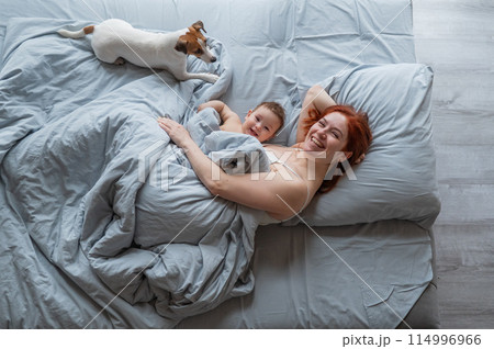 Top view of a red-haired Caucasian woman lying in bed with her baby son and Jack Russell terrier dog.  114996966