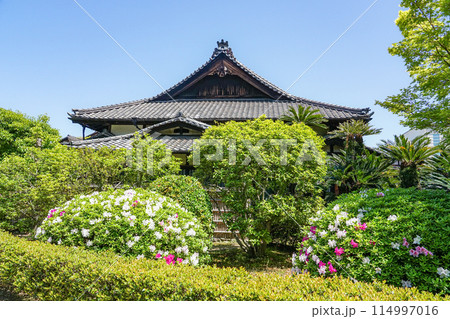 高松城の披雲閣庭園（香川県高松市） 114997016