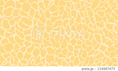 Nature abstract pattern. Nature background with spots and cells Nature abstract pattern. Nature background with spots and cells 114997473