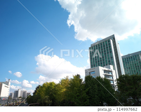 津田沼駅前 114997662