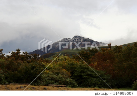 雨上がりの鳥海山、鉾立展望台は霧がかかり幻想的な景色に変貌 雨上がりの鳥海山、鉾立展望台は霧がかかり幻想的な景色に変貌 114999007