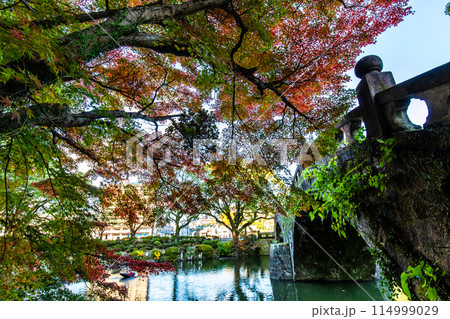 諫早公園(眼鏡橋)の紅葉 【長崎県諫早市】 諫早公園(眼鏡橋)の紅葉 【長崎県諫早市】 114999029