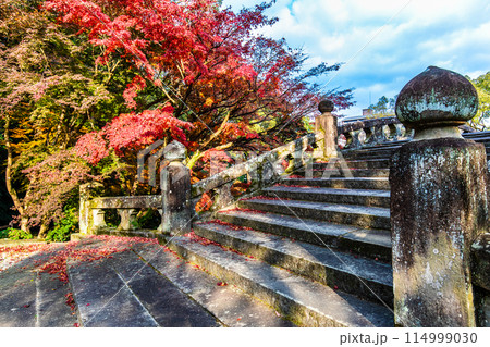 諫早公園(眼鏡橋)の紅葉 【長崎県諫早市】 諫早公園(眼鏡橋)の紅葉 【長崎県諫早市】 114999030