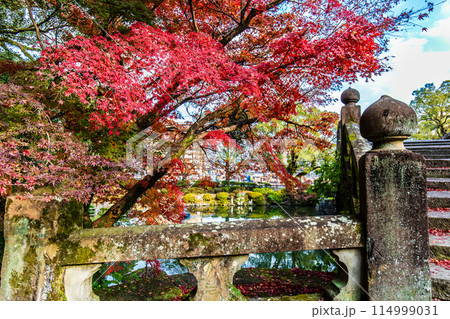 諫早公園（眼鏡橋）の紅葉　【長崎県諫早市】 114999031