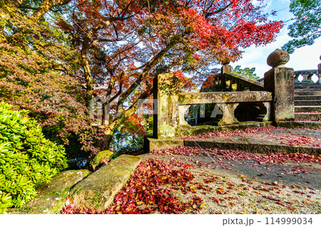 諫早公園（眼鏡橋）の紅葉　【長崎県諫早市】 114999034