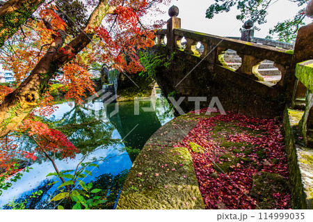 諫早公園（眼鏡橋）の紅葉　【長崎県諫早市】 114999035