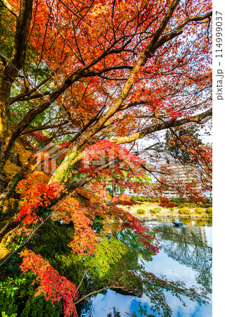 諫早公園（眼鏡橋）の紅葉　【長崎県諫早市】 114999037