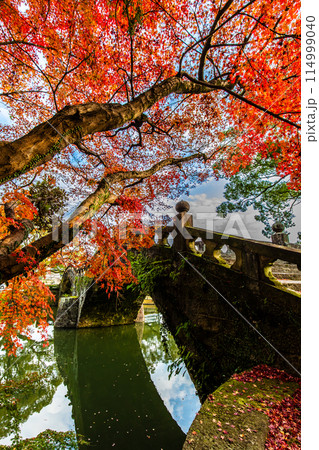 諫早公園(眼鏡橋)の紅葉 【長崎県諫早市】 諫早公園(眼鏡橋)の紅葉 【長崎県諫早市】 114999040