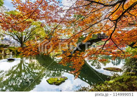 諫早公園（眼鏡橋）の紅葉　【長崎県諫早市】 114999051