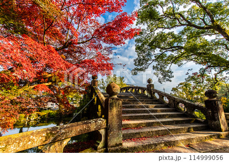 諫早公園（眼鏡橋）の紅葉　【長崎県諫早市】 114999056