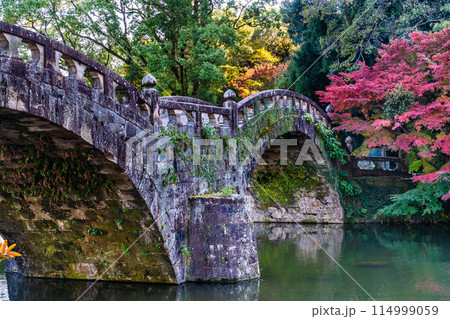 諫早公園(眼鏡橋)の紅葉 【長崎県諫早市】 諫早公園(眼鏡橋)の紅葉 【長崎県諫早市】 114999059