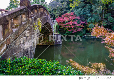 諫早公園（眼鏡橋）の紅葉　【長崎県諫早市】 114999062