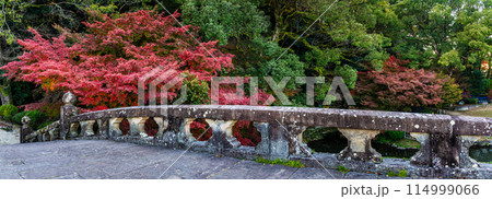 諫早公園(眼鏡橋)の紅葉 パノラマ 【長崎県諫早市】 諫早公園(眼鏡橋)の紅葉 パノラマ 【長崎県諫早市】 114999066