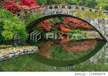 諫早公園（眼鏡橋）の紅葉　【長崎県諫早市】 114999074