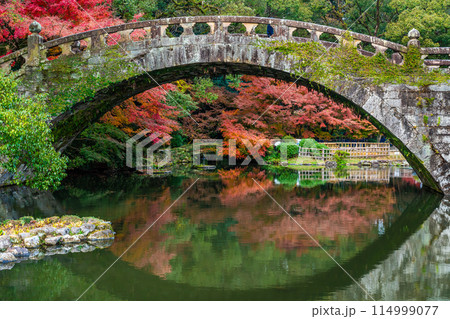 諫早公園（眼鏡橋）の紅葉　【長崎県諫早市】 114999077