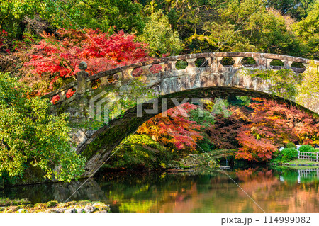 諫早公園（眼鏡橋）の紅葉　【長崎県諫早市】 114999082