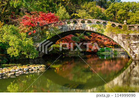 諫早公園（眼鏡橋）の紅葉　【長崎県諫早市】 114999090